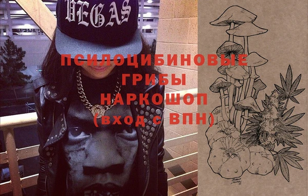 apvp Вязники