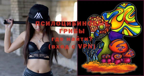 apvp Вязники