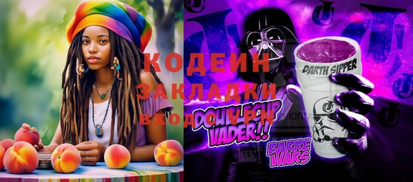 дмт Вяземский
