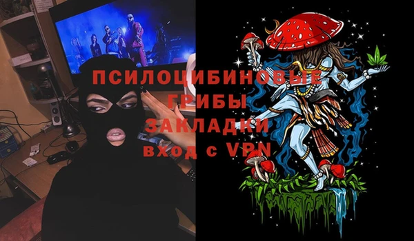 дмт Вяземский