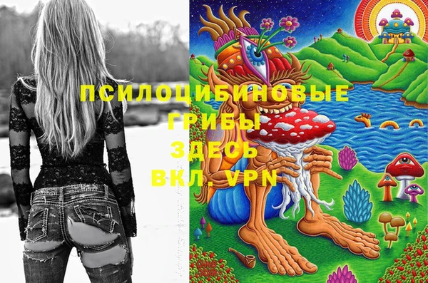 apvp Вязники